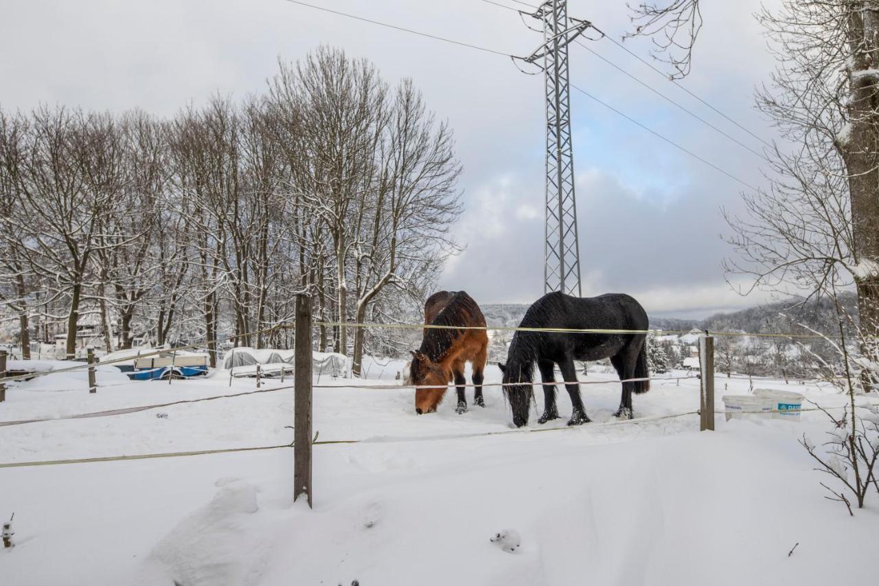 Venkovské apartmány Tiché pastviny Stein Schönau Exterior foto