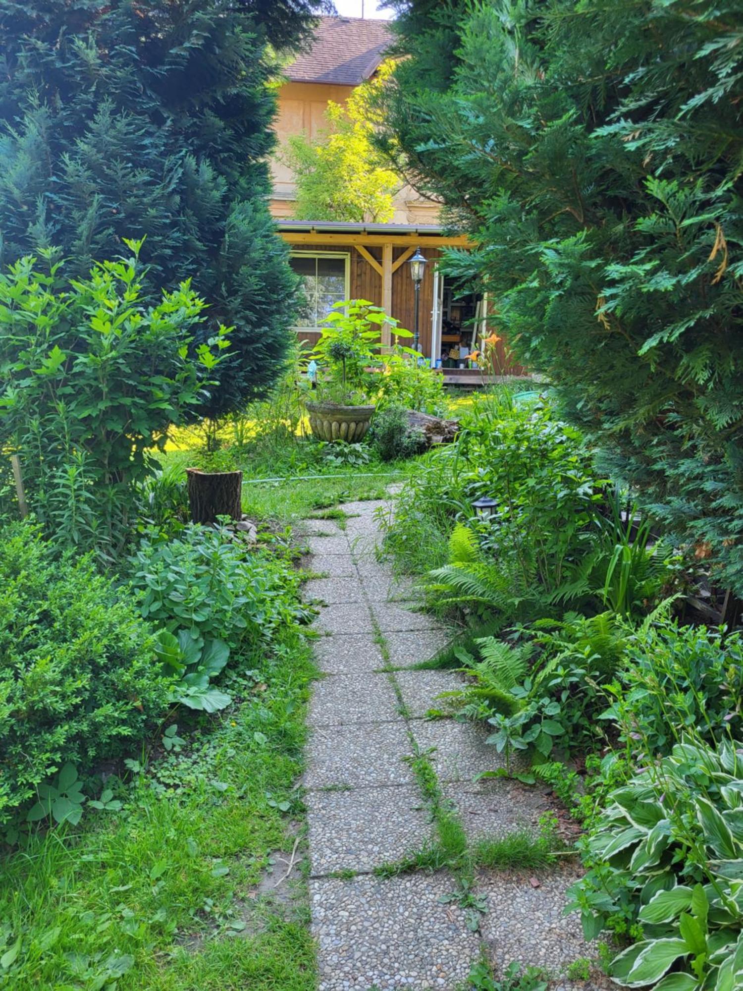 Venkovské apartmány Tiché pastviny Stein Schönau Exterior foto