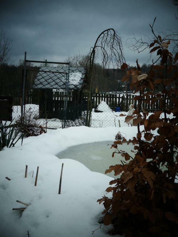 Venkovské apartmány Tiché pastviny Stein Schönau Exterior foto