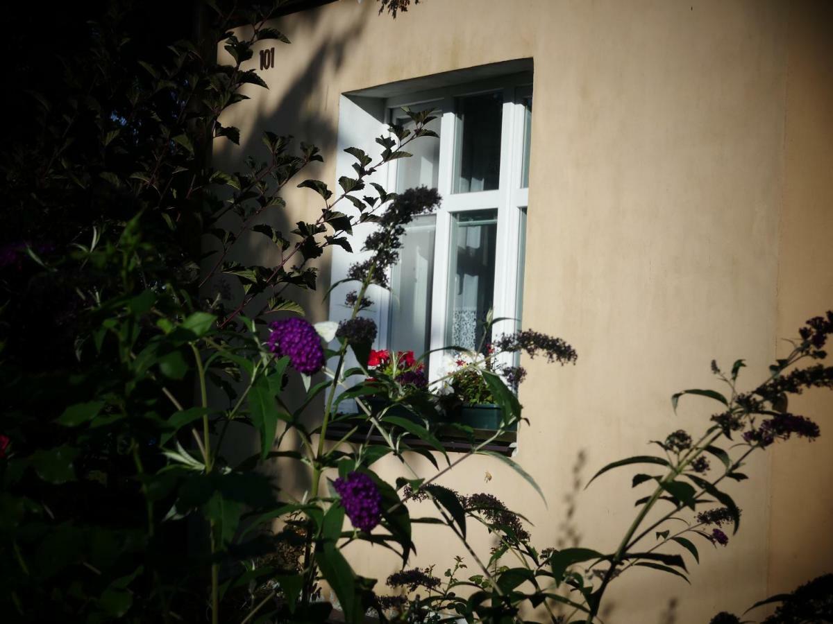 Venkovské apartmány Tiché pastviny Stein Schönau Exterior foto