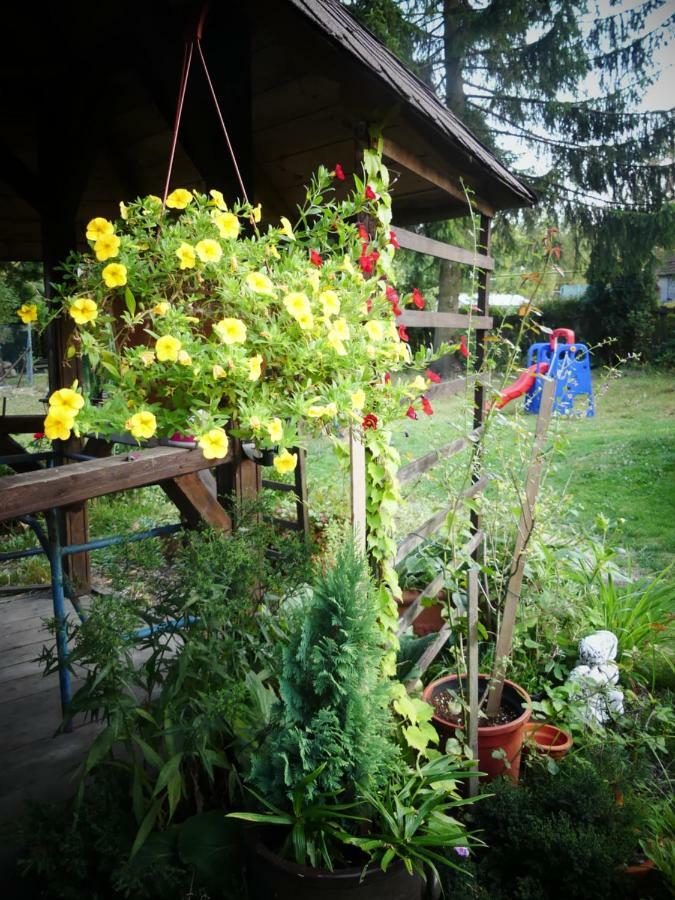 Venkovské apartmány Tiché pastviny Stein Schönau Exterior foto